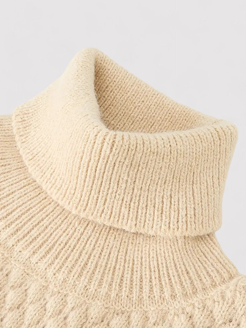 Ancien | Men's Coarse Knitted Warm Turtleneck Sweater